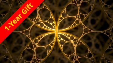 Masters in Mechanics 1 Year Gift